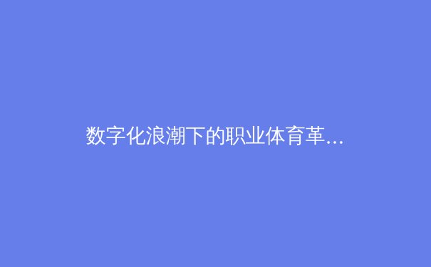 数字化浪潮下的职业体育革命：从数据洞察到沉浸式观赛体验的范式转移 - 3